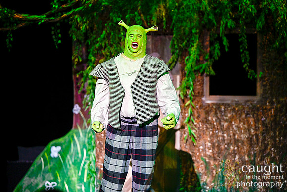 009 ShrekWeirdos