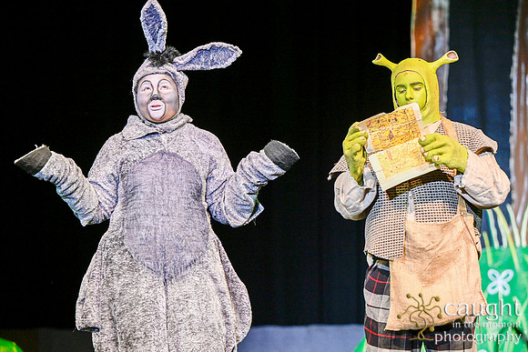 044 ShrekWeirdos