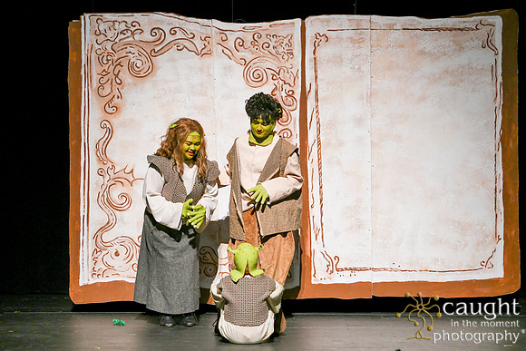 001 ShrekWeirdos