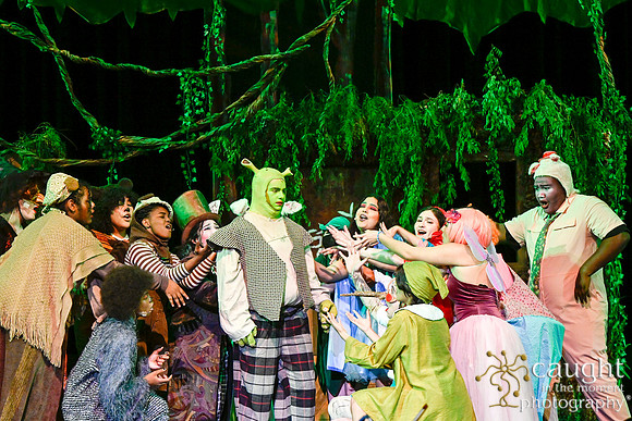 033 ShrekWeirdos