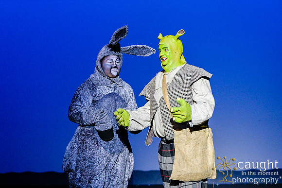 138 ShrekWeirdos