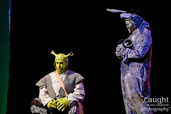136 ShrekWeirdos