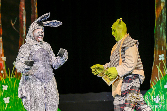 046 ShrekWeirdos