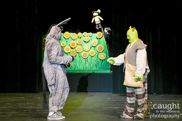 112 ShrekWeirdos