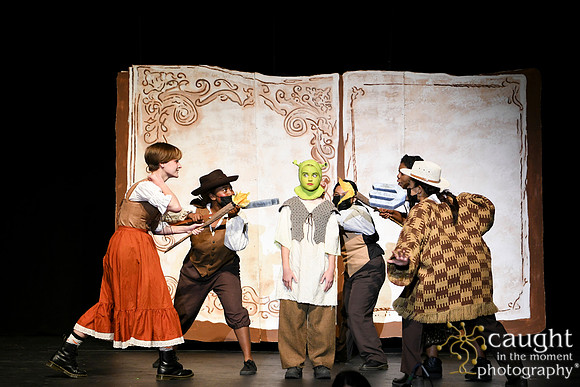 005 ShrekWeirdos