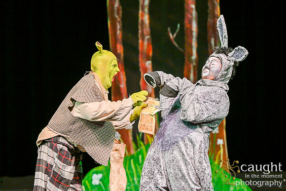 042 ShrekWeirdos