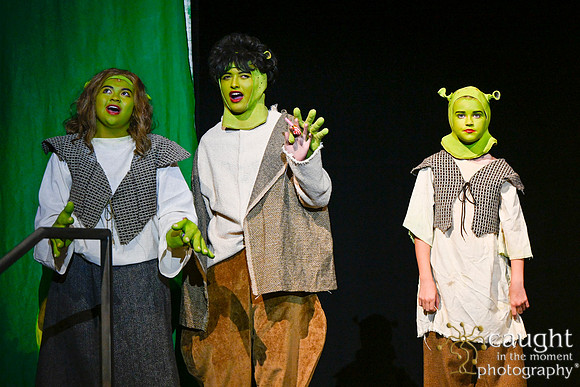 002 ShrekWeirdos
