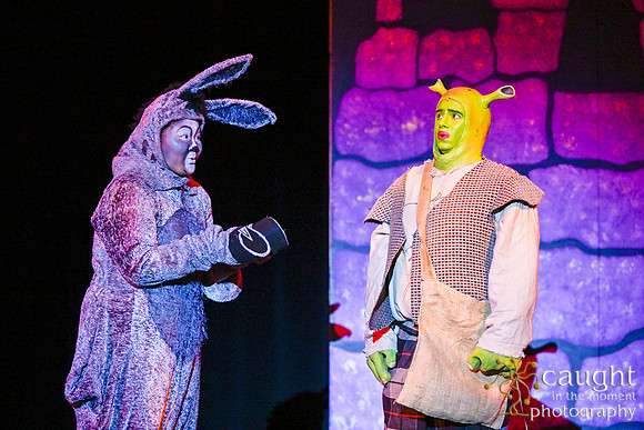 114 ShrekWeirdos