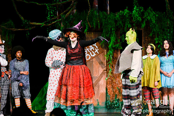 030 ShrekWeirdos