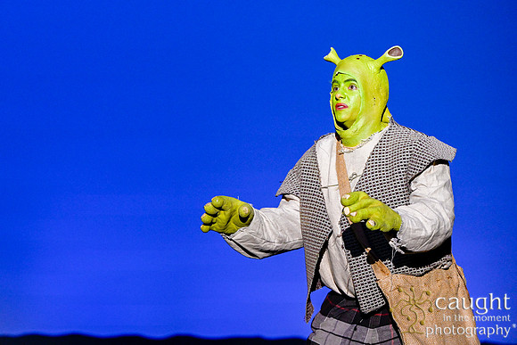 139 ShrekWeirdos