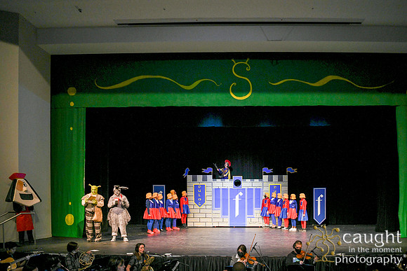090 ShrekWeirdos