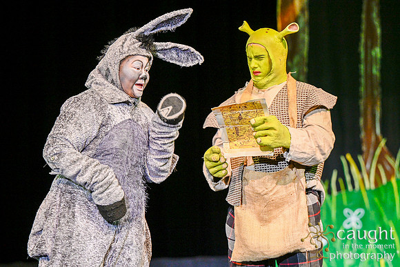 045 ShrekWeirdos