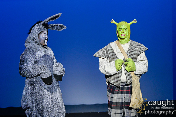 137 ShrekWeirdos