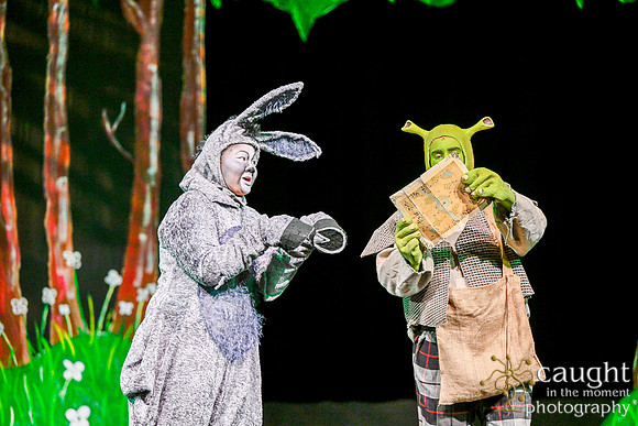 040 ShrekWeirdos