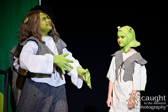003 ShrekWeirdos