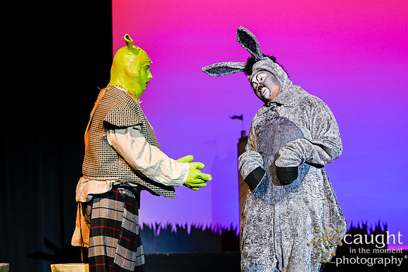 199 ShrekWeirdos