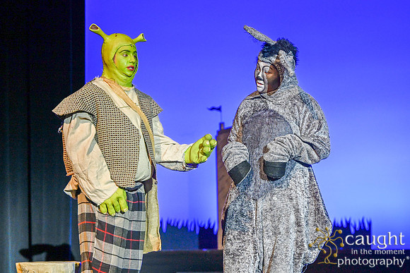 200 ShrekWeirdos