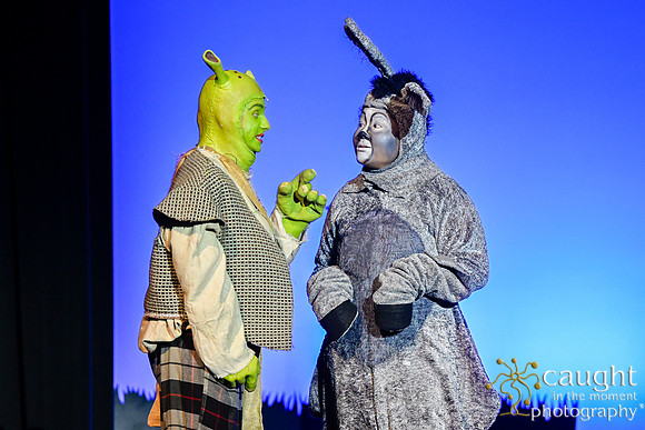 201 ShrekWeirdos