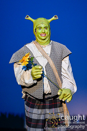 202 ShrekWeirdos