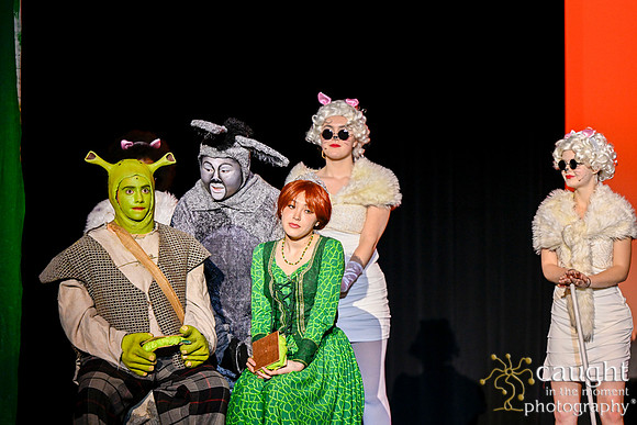193 ShrekWeirdos