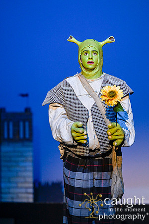 204 ShrekWeirdos