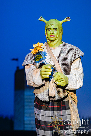 203 ShrekWeirdos