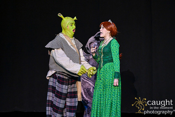 159 ShrekWeirdos