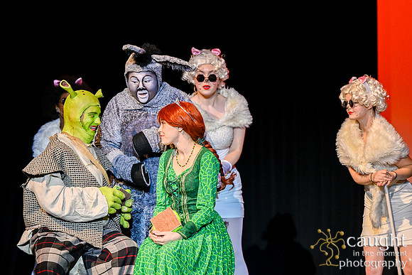 195 ShrekWeirdos