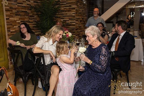 229 Nancy Eisner's 80th Birthday Celebration