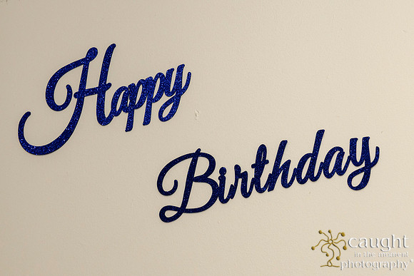 260 Nancy Eisner's 80th Birthday Celebration