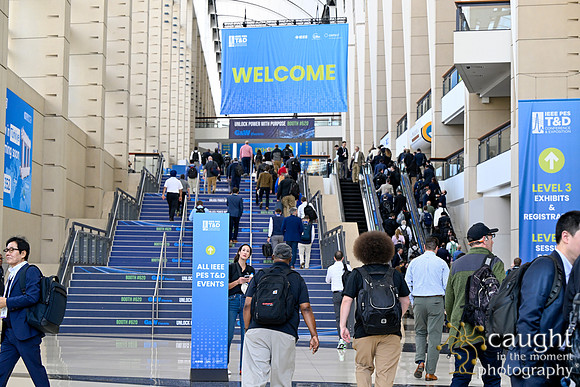 948 IEEE PESTD 2026 Chicago