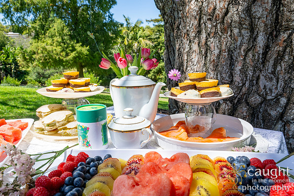 005 Sofias Tea Party