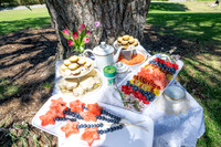 003 Sofias Tea Party