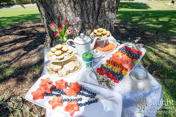 003 Sofias Tea Party
