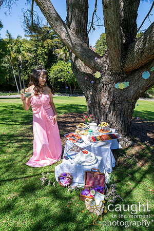 006 Sofias Tea Party
