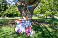 002 Sofias Tea Party