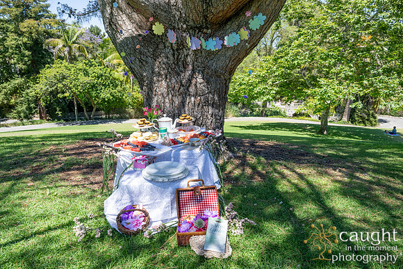 002 Sofias Tea Party
