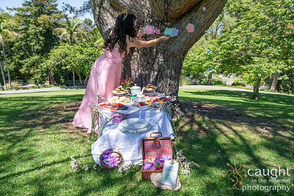 001 Sofias Tea Party