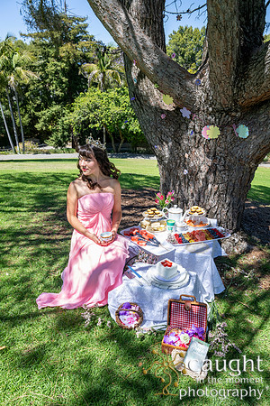 009 Sofias Tea Party