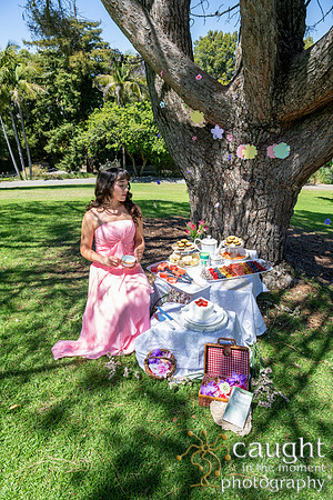 010 Sofias Tea Party