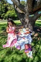 007 Sofias Tea Party