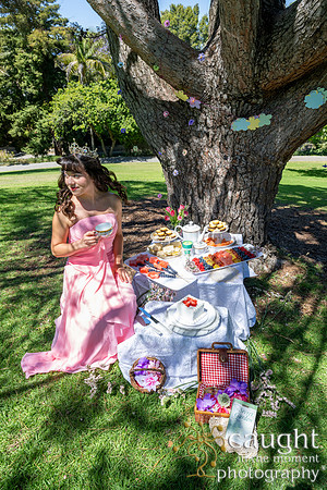 007 Sofias Tea Party