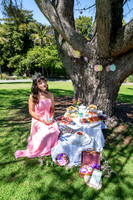 008 Sofias Tea Party