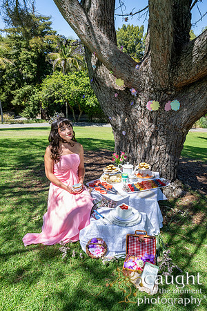 008 Sofias Tea Party