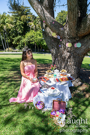 012 Sofias Tea Party