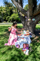 011 Sofias Tea Party