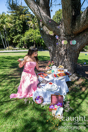 011 Sofias Tea Party