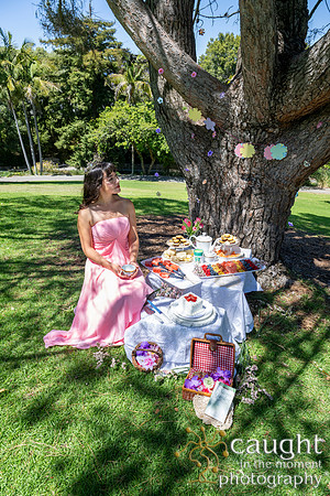 013 Sofias Tea Party