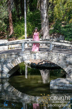 029 Sofias Tea Party