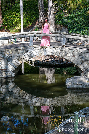 033 Sofias Tea Party